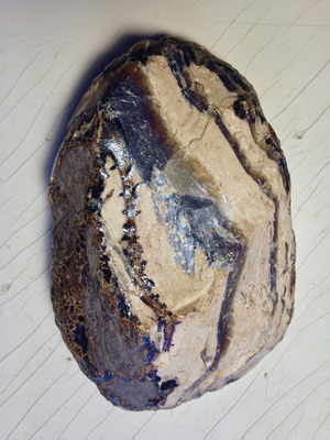 Product picture photo blue amber museum specimen